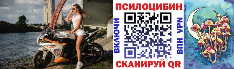Галлюциногенные грибы прущие грибы  Хилок 